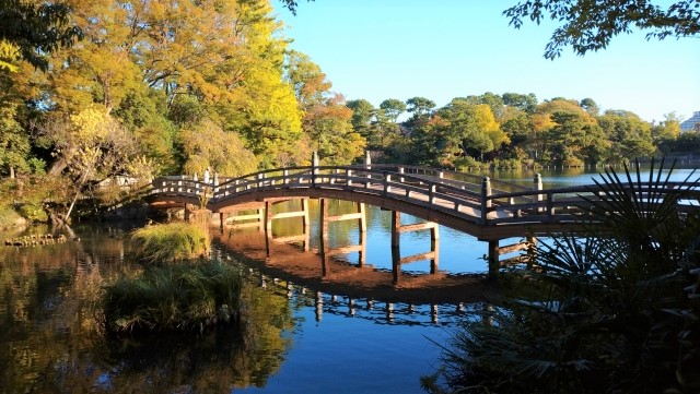 東京都大田区の名所旧跡として名高い洗足池と池月橋。大岡山キャンパスからも歩いていけます。